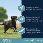 Eukanuba Adult Large Breed Key Benefits 1