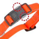 Околувратник за куче, црвен, REFLEX C20/56 FERPLAST - Image 9