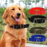 L Xl Size Dog Collar For Pet Big Dog Collar Leads Army Green Pet Products For