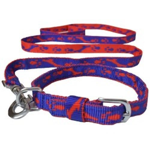 Pawzone Dog Collar With Leash