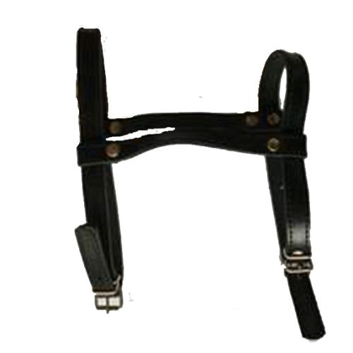 48223593 557539921376097 3185922378425171968 N 300x300.jpg