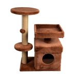 60 7 Short Hair 1.jpg