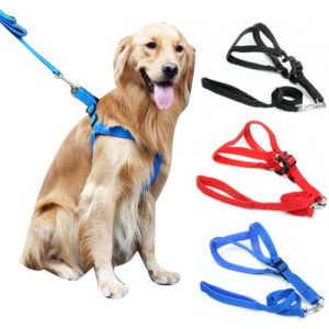 Foam Padded Dog Harness Durable Dogs Pet Harnesses Leash Set For Small Medium And Large Dogs.jpg