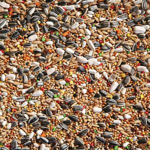Parakeet Mix Scaled 1.jpg