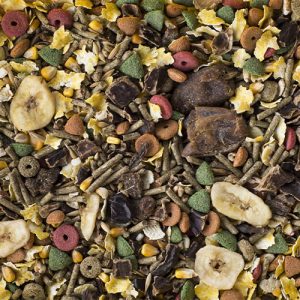 Rabbit Special Scaled 1.jpg