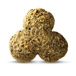 Chinchilla Granule Fullhd.jpg