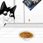 Felix Soup.jpg