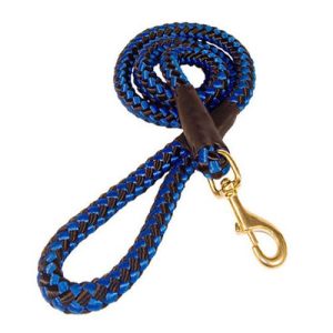Leash Nylon Cane Corso.jpg