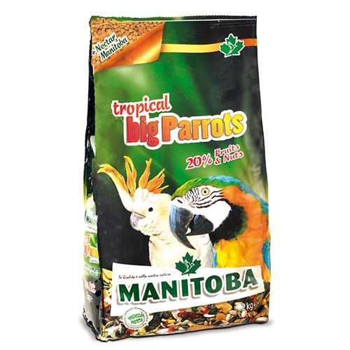 Manitoba Golemi Papagali 1.jpg