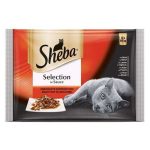 Sheba 02.jpg