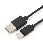 USB TYPE C 0.3М